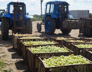 Європейський орган сертифікації підвищить експортну спроможність українських садівників